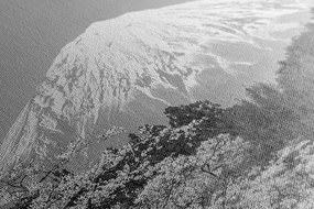 Stampa su tela – Monte Fuji in bianco e nero
