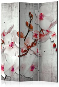 Paravento separè Orchidea di cemento - orchidea bianca su sfondo di cemento