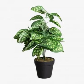 Pianta Artificiale Decorativa Pavone 45 Cm ↑45 Cm - Sklum