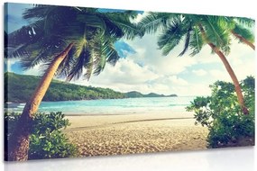 Quadro su tela – Tramonto sull'isola delle Seychelles