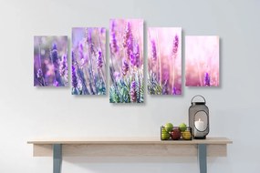 Quadri 5 pezzi – Fiori magici di lavanda