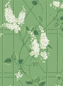 Cole & Son Carta da parati Wisteria - Sage/ Leaf Green