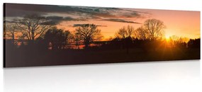 Quadro su tela – Splendido tramonto