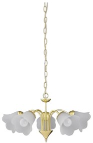 Rabalux 7235 - Lampadario a sospensione con catena RAFAELLA 5xE14/40W/230V