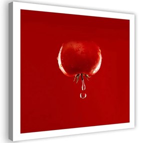 Quadro su tela, Acqua vegetale di pomodoro rosso  Dimensioni 30x30