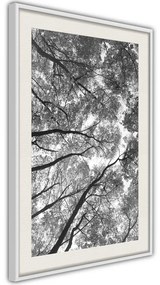 Poster  Lying on the Grass  Cornice Quadri Cornice nera, Larghezza x Altezza Home decor 40x60