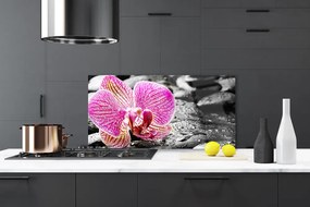 Pannello cucina paraschizzi Fiore di pietre di orchidea 100x50 cm