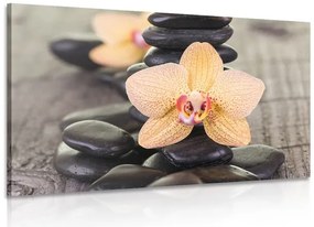 Quadro su tela – Orchidea gialla e pietre Zen