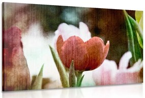 Quadro su tela – Prato di tulipani in stile retrò