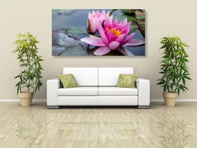 Quadro su tela – Fiore di loto rosa