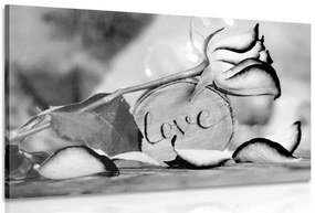 Quadro su tela – Dichiarazione romantica in bianco e nero Love