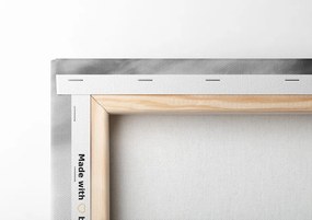 Quadro su tela – Paesaggio incantevole in bianco e nero