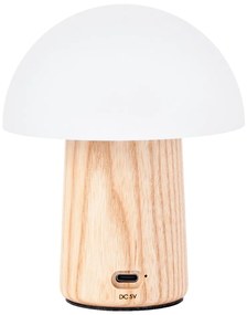 Lampada da tavolo dimmerabile in colore naturale con paralume in vetro (altezza 13 cm) Alice - Gingko