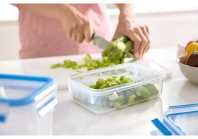 Tefal - Contenitore per alimenti 3,7 l MASTER SEAL FRESH blu