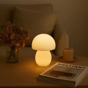 Brilliant - Lampada da tavolo ricaricabile dimmerabile a LED DUPIS LED/2W/5V 2700K bianca