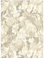 GP & J Baker Tapete Tropical Floral - Stone