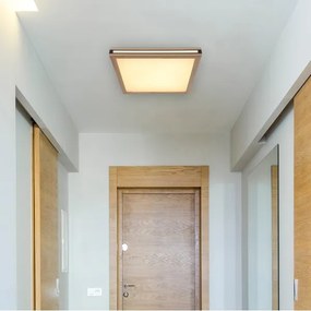 Globo 41589D2 - Plafoniera LED CARLA LED/24W/230V 45x45 cm