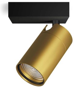 Philips - Luce Spot da bagno IDRIS 1xGU10/5W/230V IP44 nero/oro