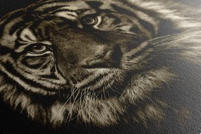 Stampa su tela – Tigre in seppia