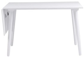 Tavolo da pranzo bianco Lotte Leaf, 120 x 80 cm Lotta - Rowico