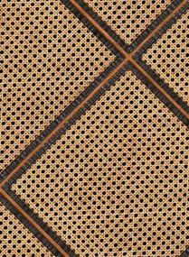 NLXL Carta da parati Framed Webbing - MRV-26