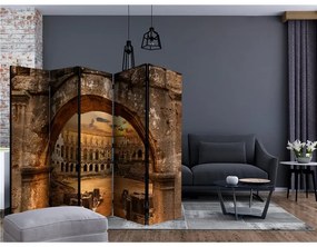 Paravento  Roman Amphitheatre in Pula, Croatia II [Room Dividers]  Colore ---, Dimensioni e Misure 225x172