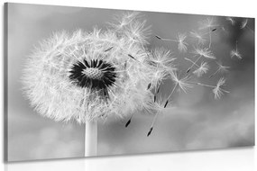 Quadro su tela – Soffione magico in bianco e nero