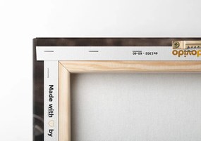Quadro su tela – Fotocamera antica