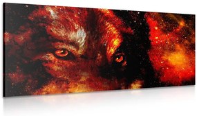 Stampa su tela – Lupo misterioso