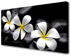 Quadro su tela Fiore della Pianta Plumeria 100x50 cm