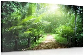 Stampa su tela – Sentiero sull'isola di Seychelles