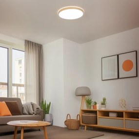 Brilagi - Plafoniera LED dimmerabile PINE LED/60W/230V + telecomando