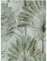 Mindthegap Carta da parati Traveller's Palm - WP20525