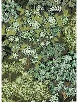 Josephine Munsey Carta da parati Broccoli Canopy - Chaingate Green