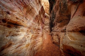 Carta da parati – Sentiero nel Grand Canyon