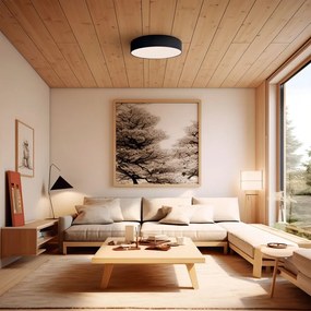 Nero Apparecchio a soffitto LED ø 60 cm - SULION