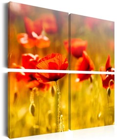 Quadro Stagione estiva  Colore Rosso, Dimensioni e Misure 60x60