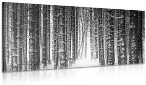 Stampa su tela – Foresta coperta di neve in bianco e nero