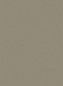 Tapete Pebble von Cole and Son - Dark Linen