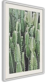 Poster  Cactus Plantation  Cornice Quadri Cornice nera con pass-partout, Larghezza x Altezza Home decor 30x45