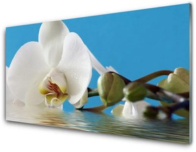 Quadro di vetro Fiore Pianta naturale 100x50 cm