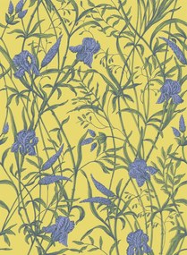 Cole & Son Carta da parati Iris - Violet on Citrine