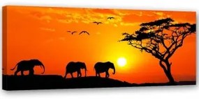 Quadro su tela, Africa tramonto elefanti 150x50