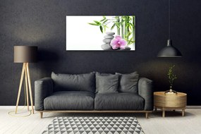 Quadro vetro Bambù Spa Arte Zen 100x50 cm