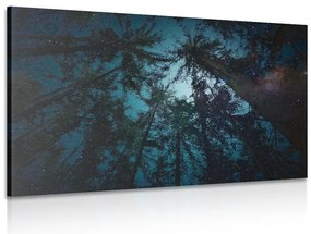 Quadro su tela – Notte nella foresta
