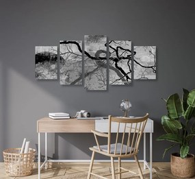 Quadri 5 pezzi – Alberi surrealisti in bianco e nero