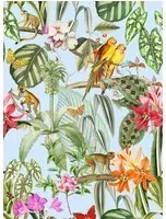 Coordonne Carta da parati Parrots - Cielo