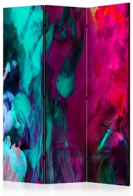 Paravento Color madness [Room Dividers]