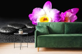 Carta da parati – Orchidea su pietre Zen