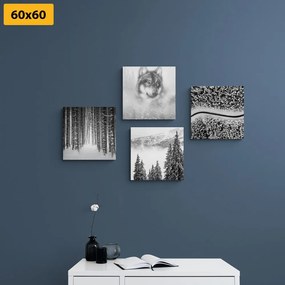 Set di quadri – Lupo nel bosco misterioso in bianco e nero